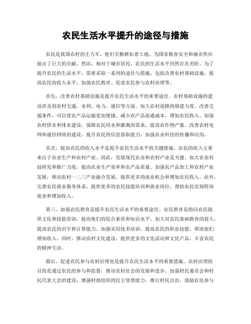 农民生活水平提升的途径与措施