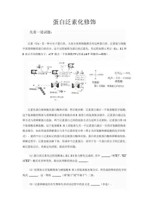 备课素材：蛋白泛素化修饰  高中生物人教版必修1 