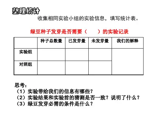 种子发芽实验(二)以及观察绿豆芽的生长