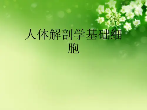 人体解剖学基础细胞优秀课件