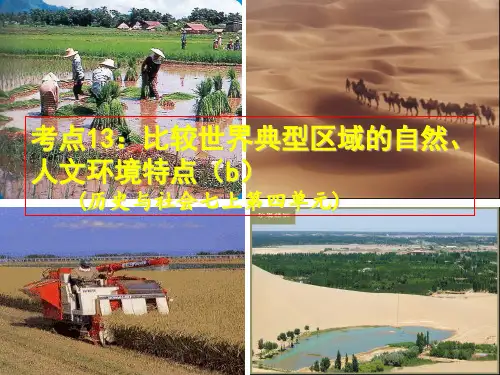 考点13：比较世界典型区域的自然、人文环境特点(b)