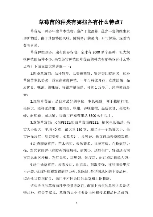 草莓苗的种类有哪些各有什么特点？