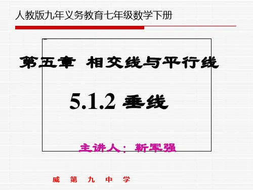 人教版七年级下册数学 第五章 5.1.2 垂线-靳军强