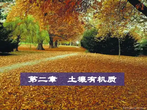 【2024版】第二章-土壤有机质