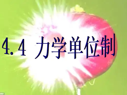 力学单位制解析精选课件PPT