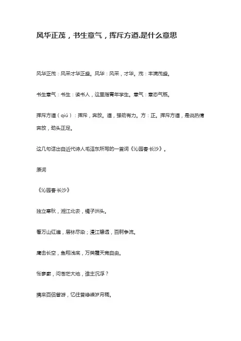 风华正茂挥斥方遒的意思