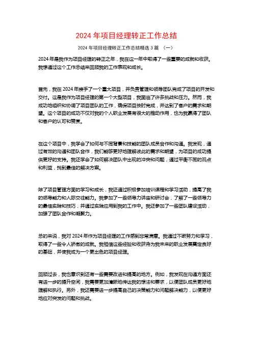 2024年项目经理转正工作总结3篇