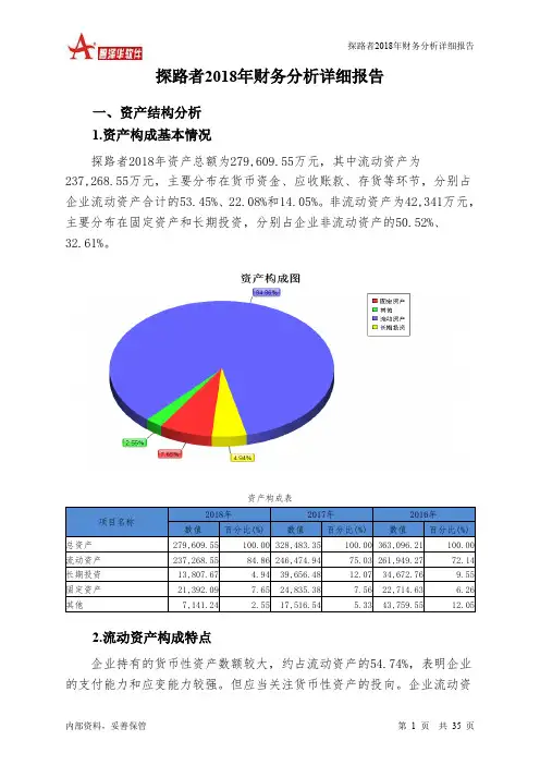 探路者2018年财务分析详细报告-智泽华