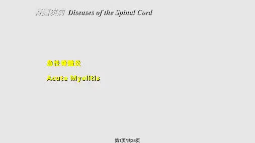脊髓疾病DiseasesoftheSpinalCordPPT课件