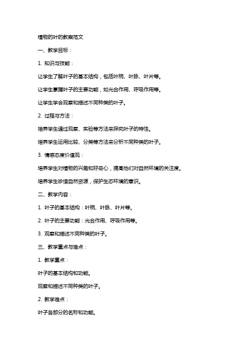 植物的叶的教案范文