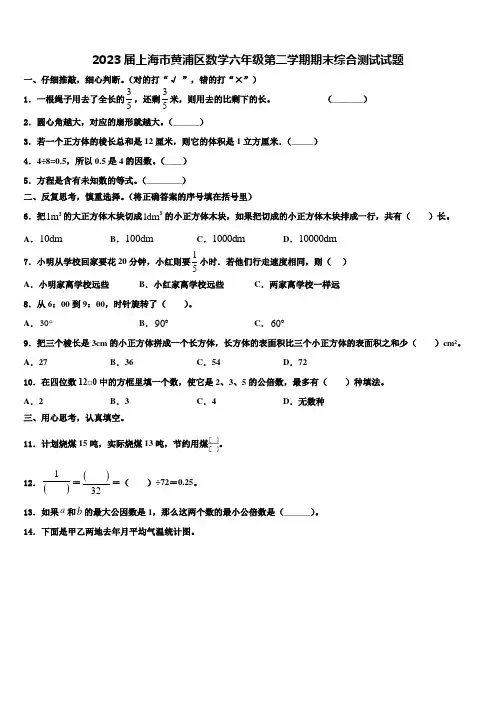 2023届上海市黄浦区数学六年级第二学期期末综合测试试题含解析