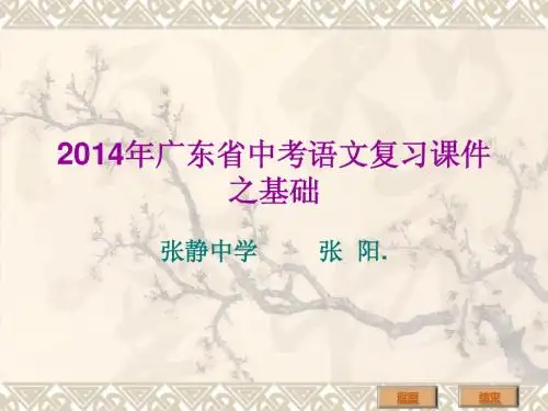 2014年广东省中考语文复习课件之基础