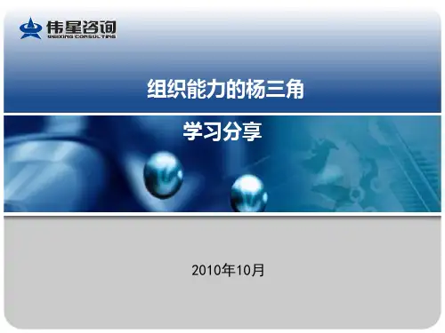 组织能力的杨三角