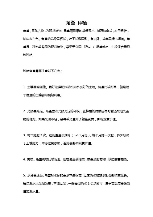 角堇 种植