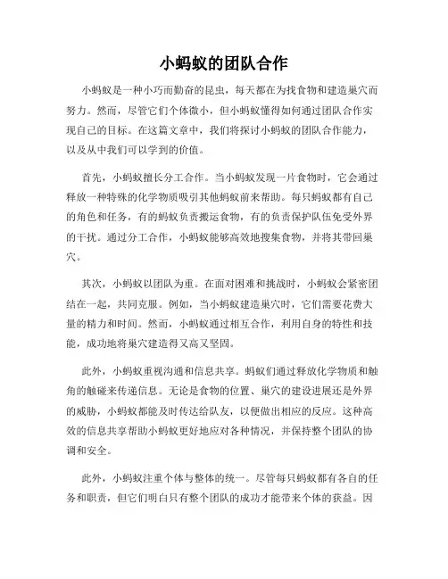 小蚂蚁的团队合作