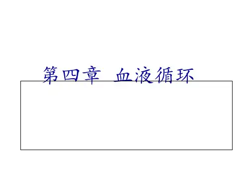 循环系统解剖与生理  ppt课件