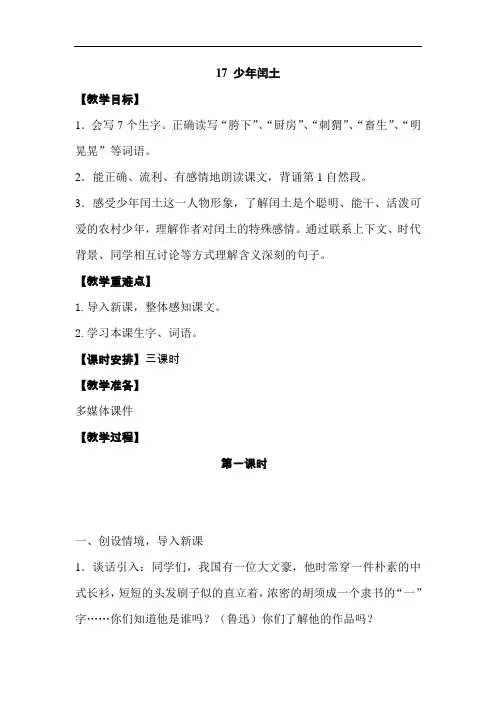 17.少年闰土 教案(第一课时)