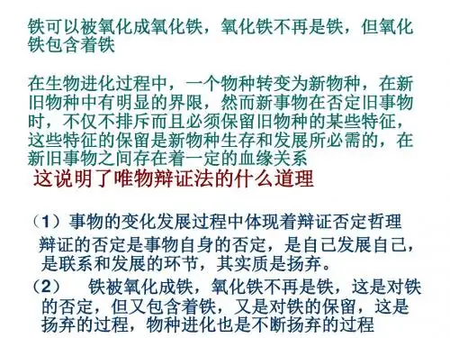 201710.2创新是民族进步的灵魂-课件1