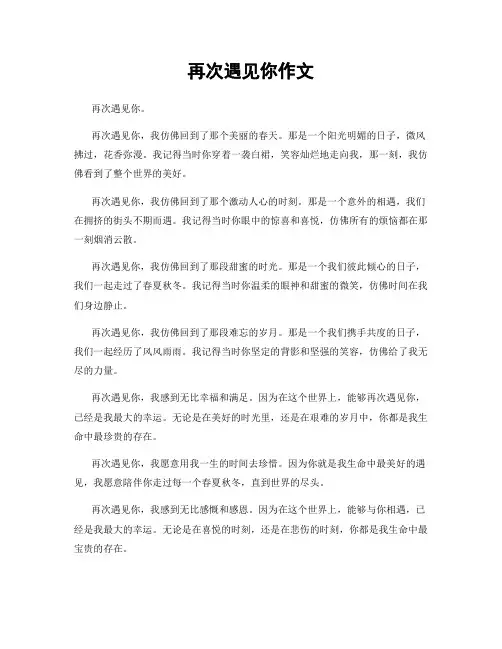 再次遇见你作文