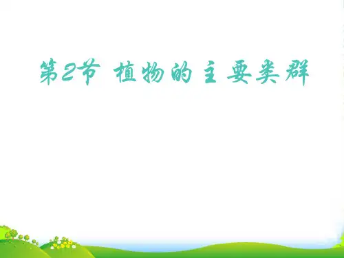 八年级生物下册 第7单元 第22章 第2节《植物的主要类群》课件 北师大