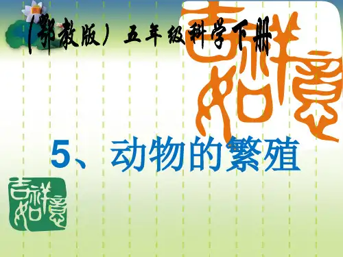 5、动物的繁殖