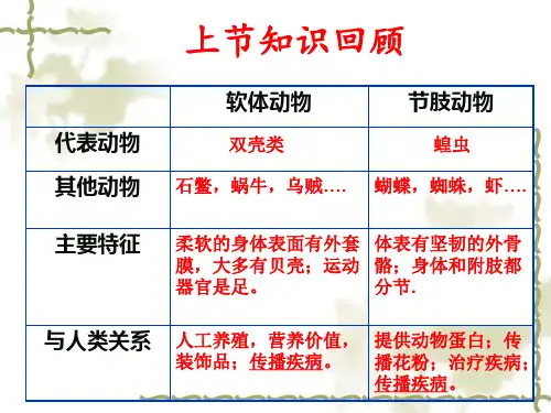 新人教版八年级生物上册：5.1.4《鱼》ppt课件