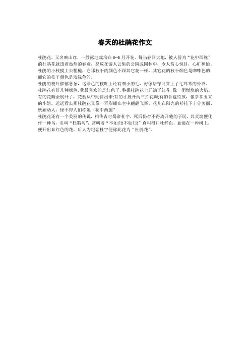 春天的杜鹃花作文