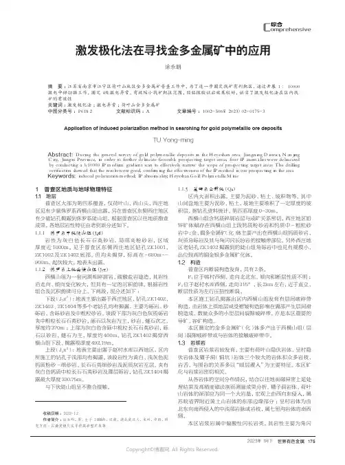 211171126_激发极化法在寻找金多金属矿中的应用