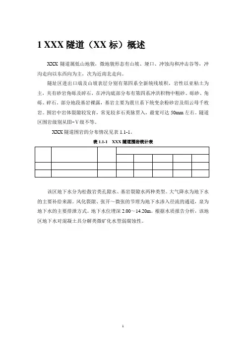 隧道检测缺陷和病害处理方案