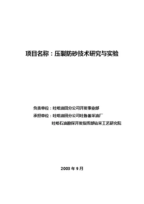 压裂防砂技术规划项目情况总结
