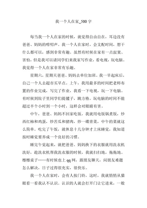我一个人在家_500字