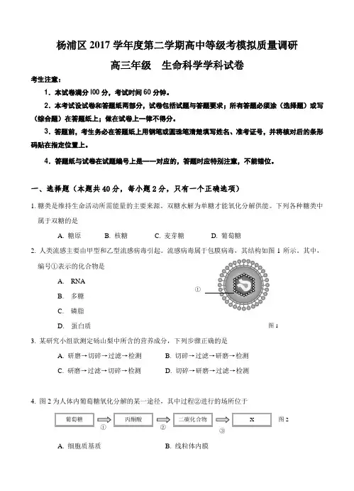 上海市杨浦区2018届高三下-等级考调研(二模)生命科学试卷(含答案)