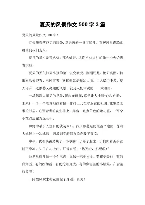 夏天的风景作文500字3篇