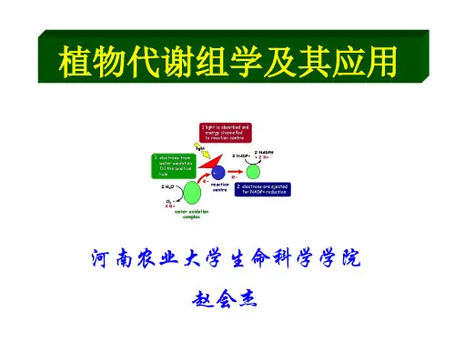 植物代谢组学 PPT课件