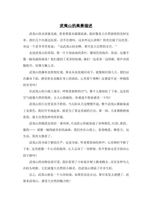 武夷山的美景描述