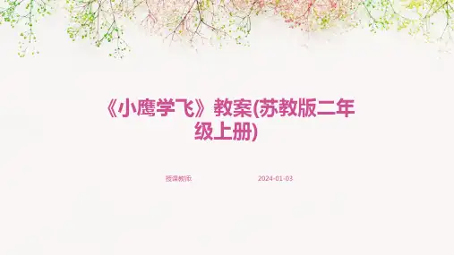 《小鹰学飞》教案(苏教版二年级上册)