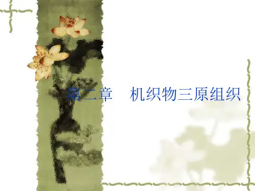 织物结构—第二章 机织物三原组织