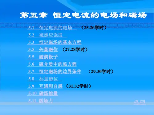 第5章 恒定电流的电场和磁场