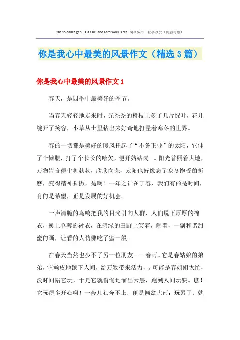 你是我心中最美的风景作文(精选3篇)