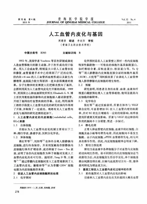 人工血管内皮化与基因