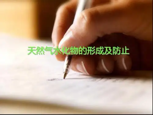 天然气水合物的形成与防治