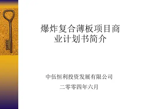 某投资公司项目商业计划书PPT(13张)