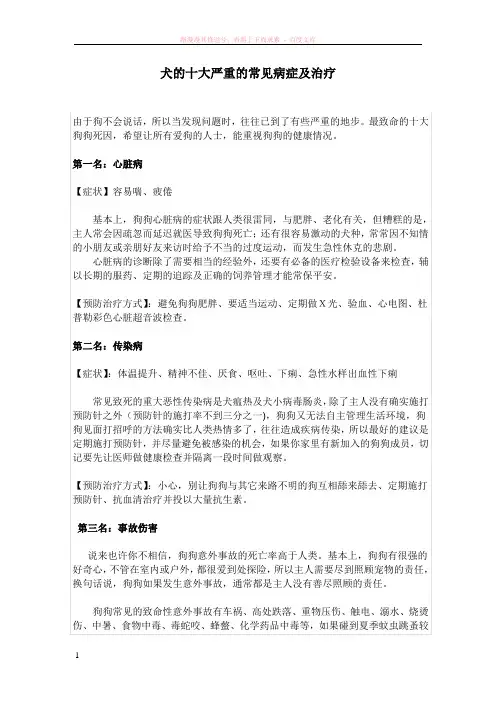 犬的十大严重的常见病症及治疗