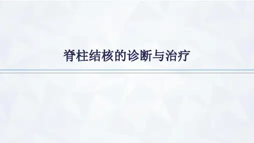 脊柱结核的诊断与治疗ppt课件