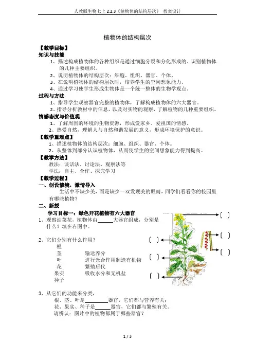 人教版生物七上2.2.3《植物体的结构层次》 教案设计