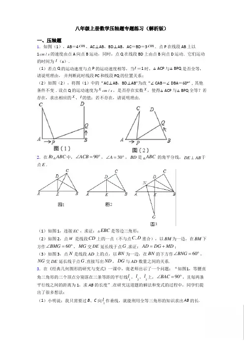 初中数学八年级上册压轴题专项练习(解析版)
