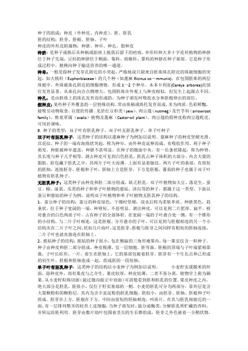 种子结构