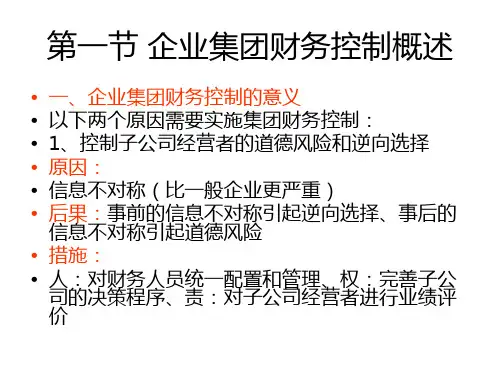 企业集团财务控制概述powerpoint135页