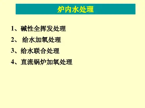 炉内水处理