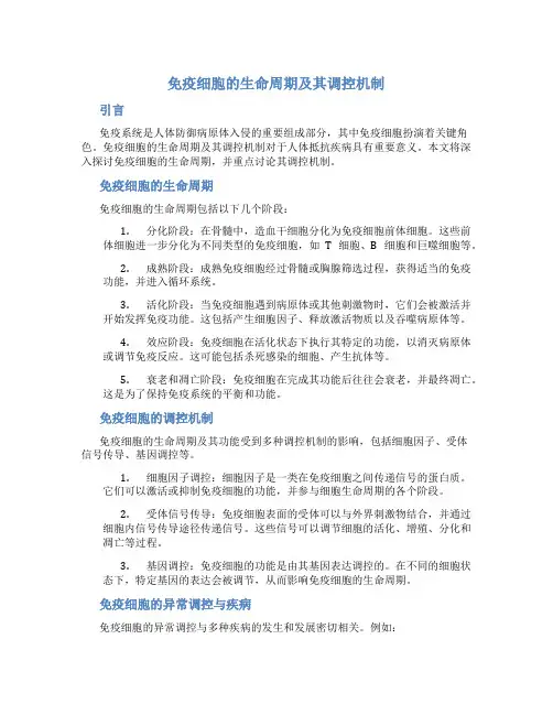 免疫细胞的生命周期及其调控机制